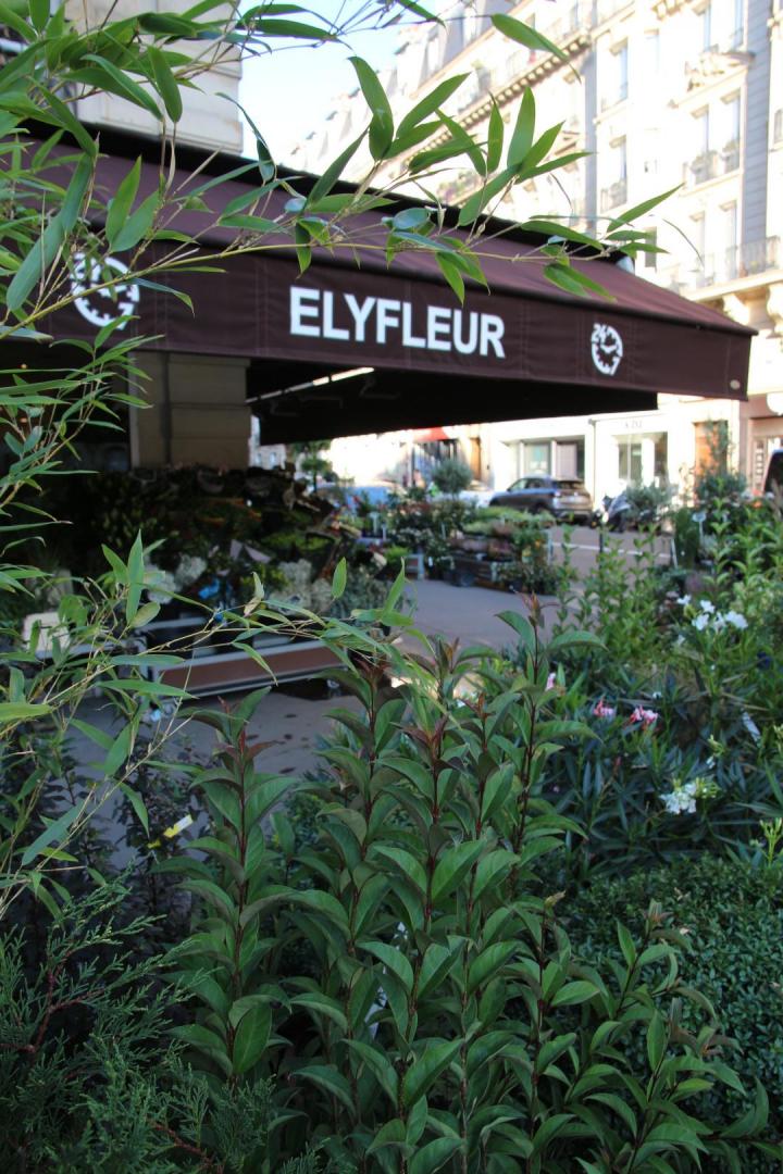 Bouquets de mariée Paris 8