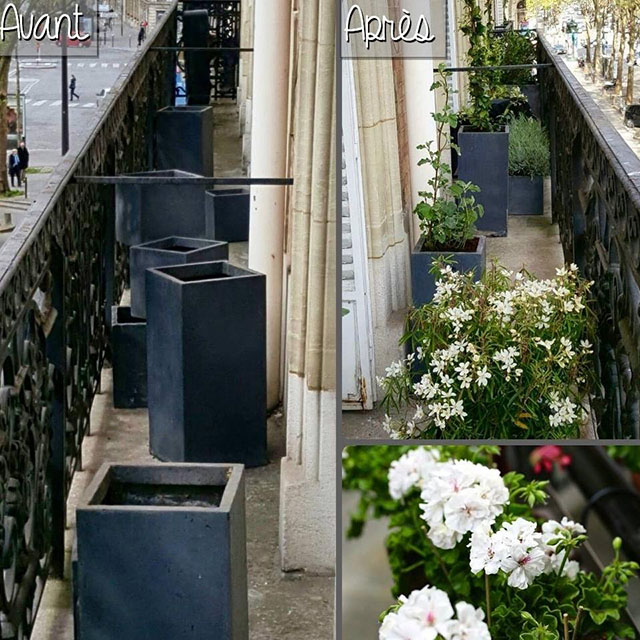 Fleurs deuil Paris 8