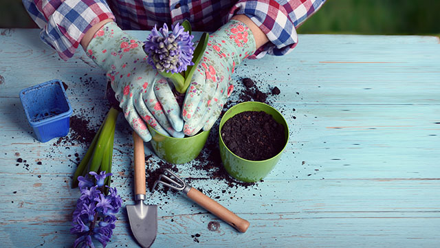 Vente de bacs plantes Paris 16